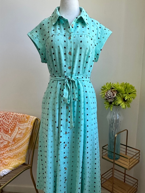 Nina Leonard Dresses & Skirts - Nina Leonard Mint Green Polka Dot Shirt Midi Dress